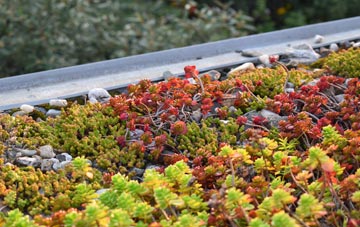 the cost of Seisdon green roof installation